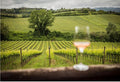 Franciacorta DOCG